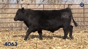 Lot #4063 - LZ EXCLUSIVE 4063