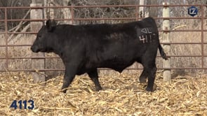 Lot #4113 - LZ EXCLUSIVE 4113