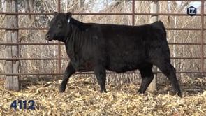 Lot #4112 - LZ EILEENMERE PRIDE 4112