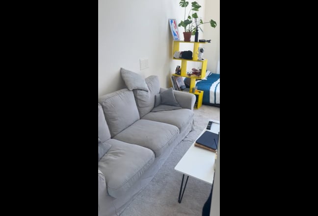 Spacious Room in Historic Victorian flat Main Photo