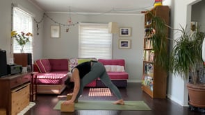 Rooted (1st Chakra)