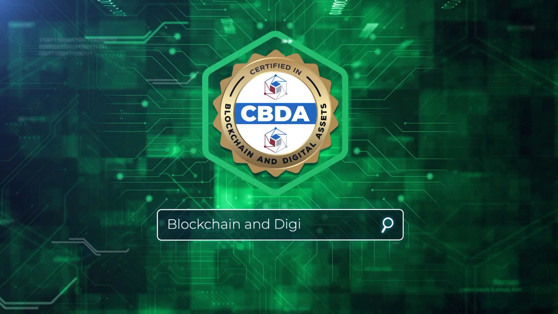 FINANCIAL PROFESSIONAL_Sizzle