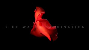 1816_Spanish dancer dancing at night slow motion