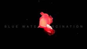 1819_Spanish dancer dancing at night