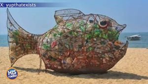 You Can Feed This Fish PLASTIC