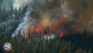 Wildfires Are Running Rampant