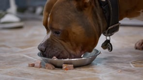 Freshpet_60 second clip