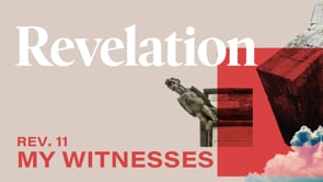 Related Embedded Video Item Thumbnail