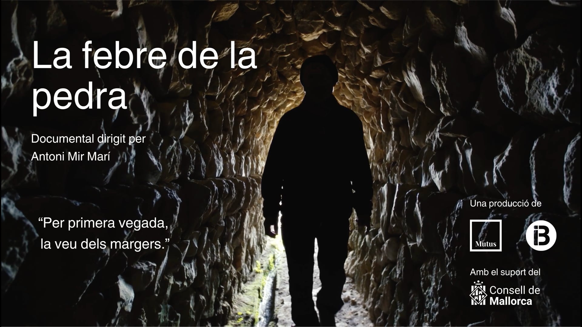 La febre de la pedra (documental)