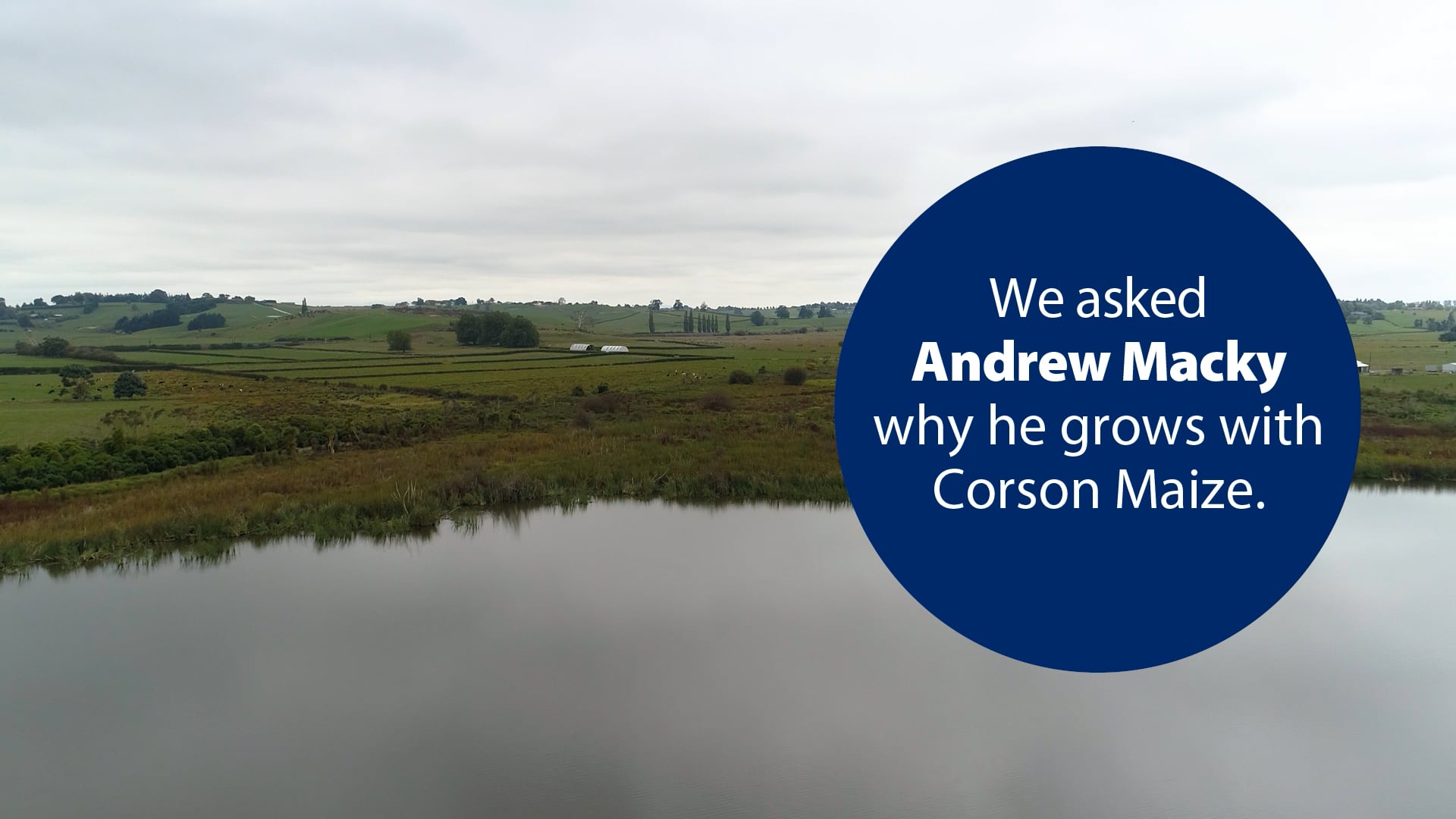 Why grow with Corson Maize