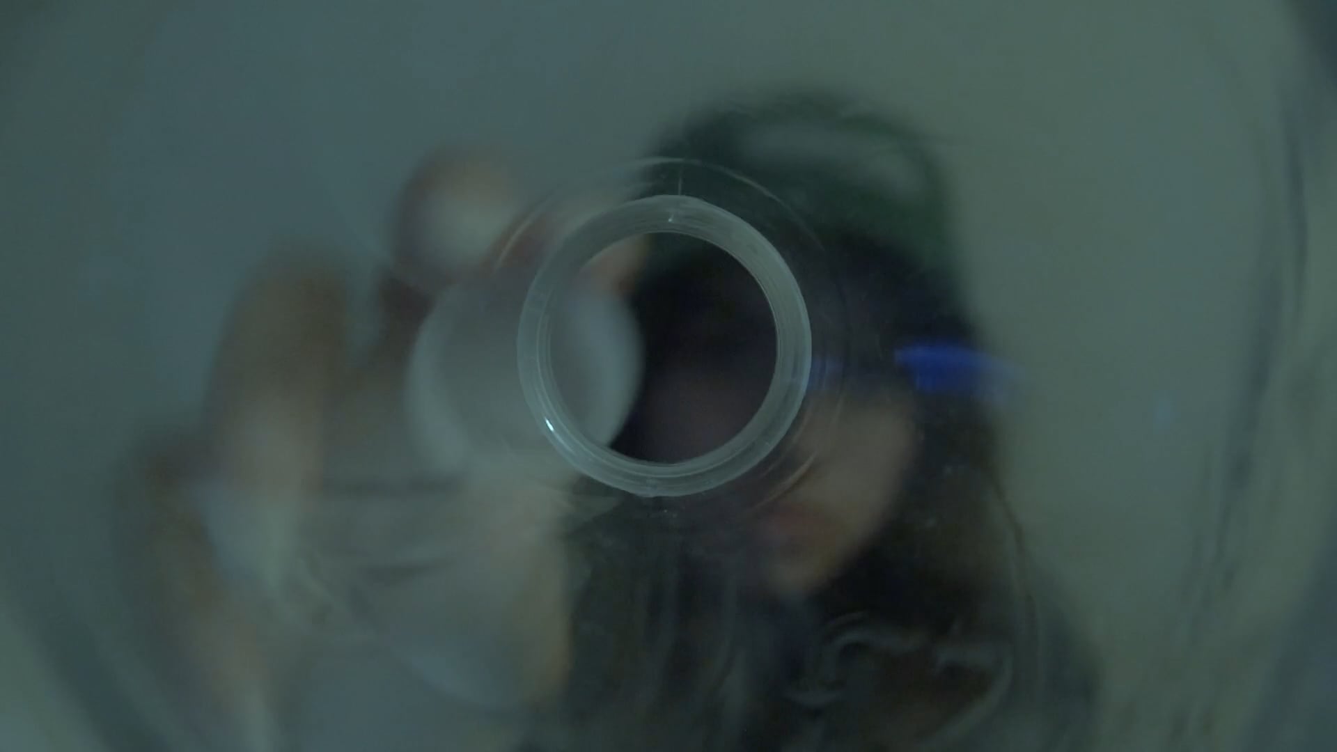 Shake Shack | Short Film