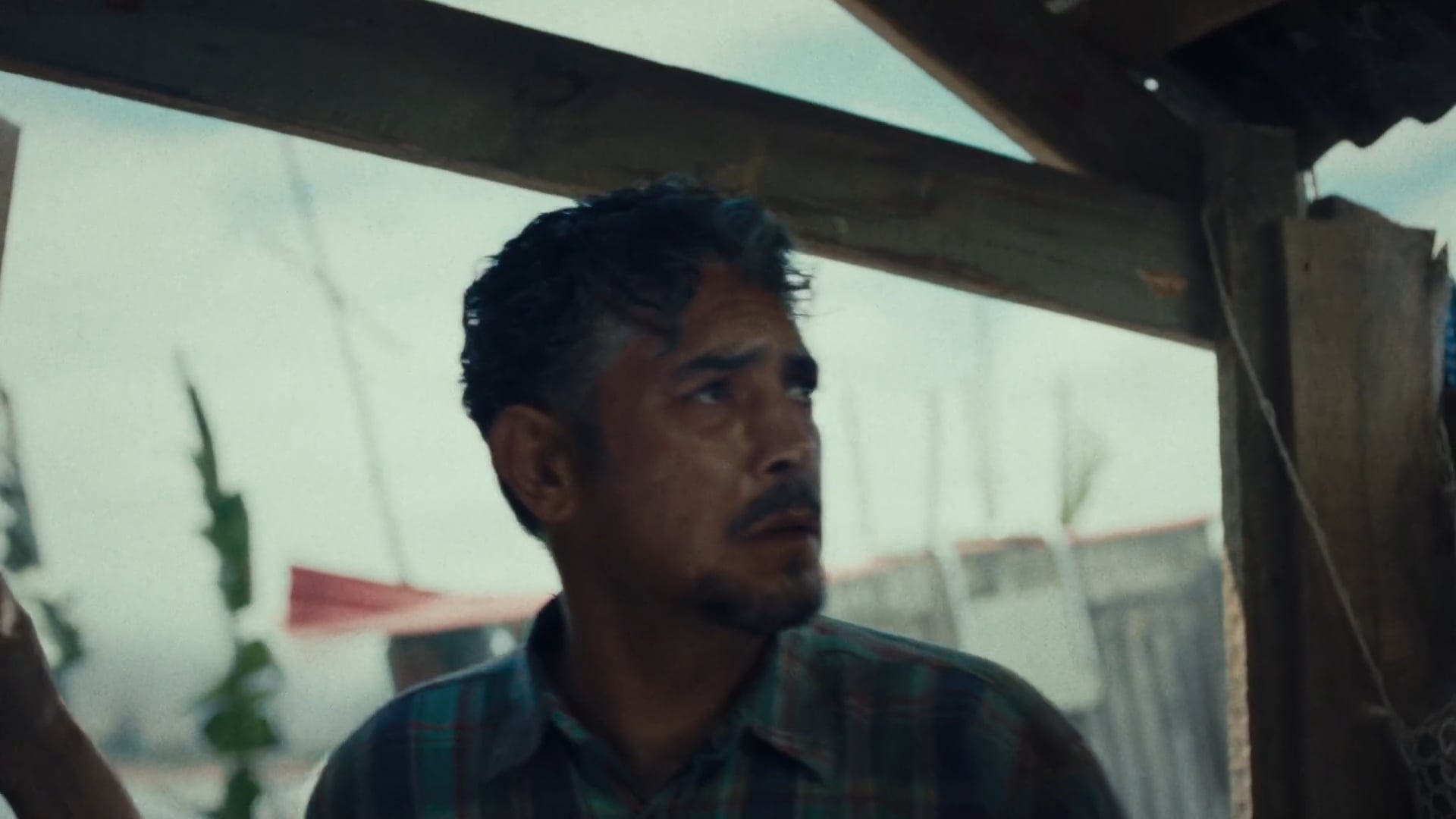 Trocaire - Director  Brian O'Malley