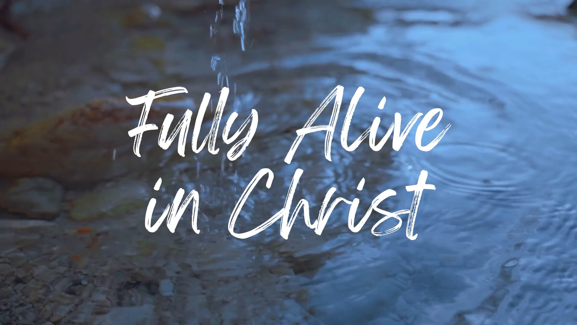 Oneness_ Fully Alive in Christ