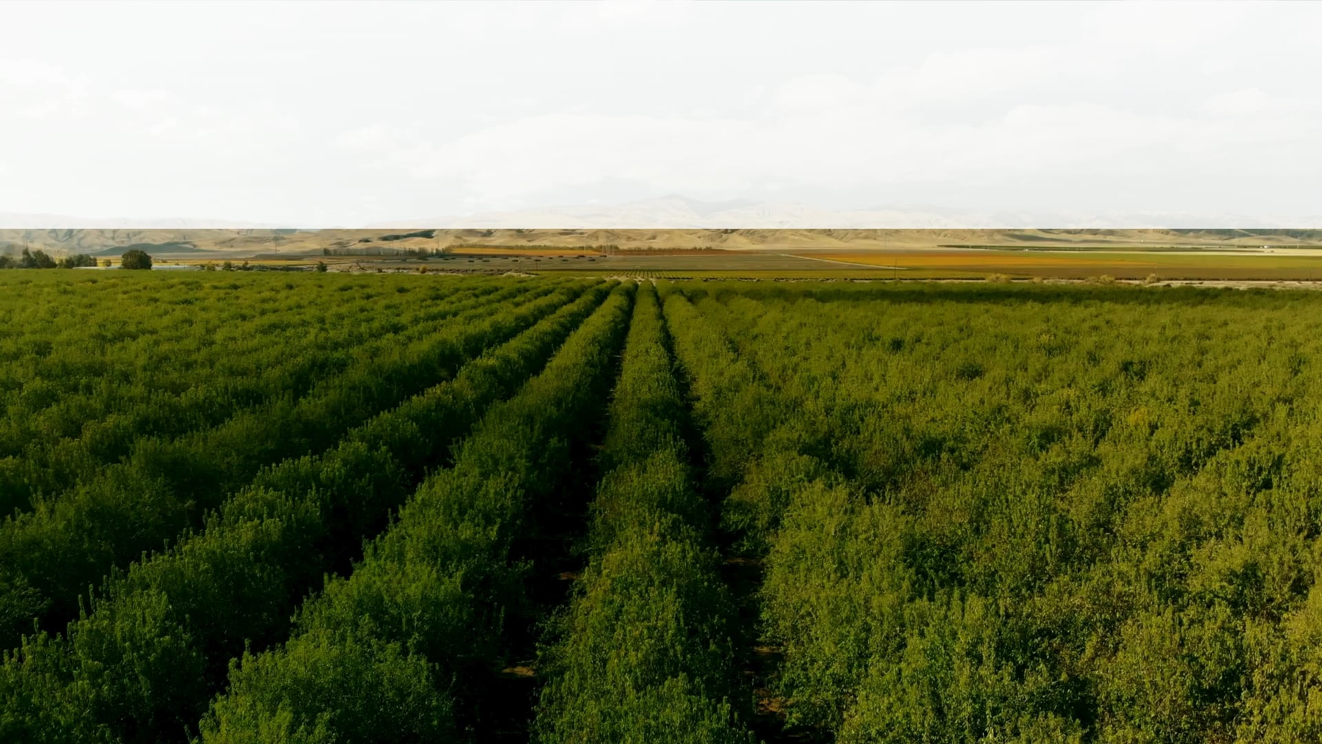 Farming