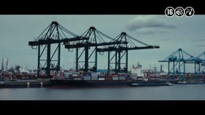 safeharbor