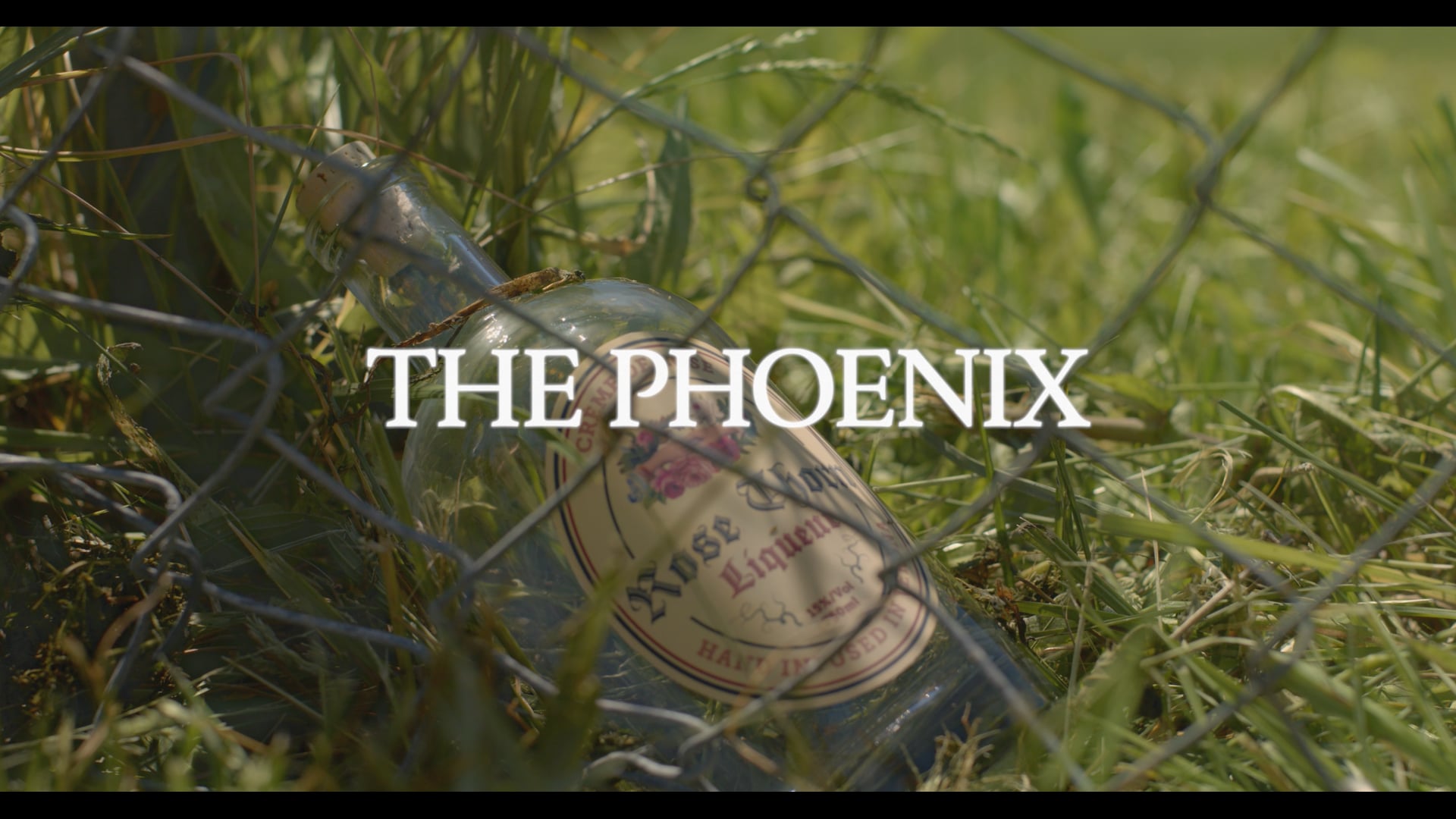 The Phoenix (Short Film)