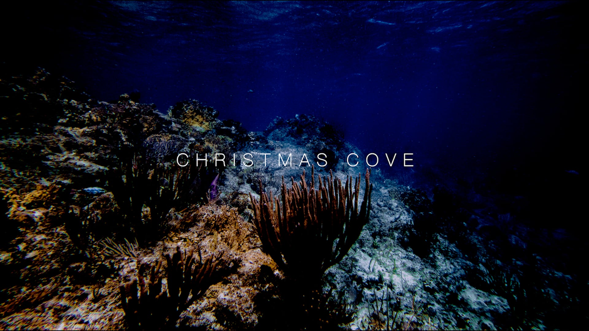 Christmas Cove