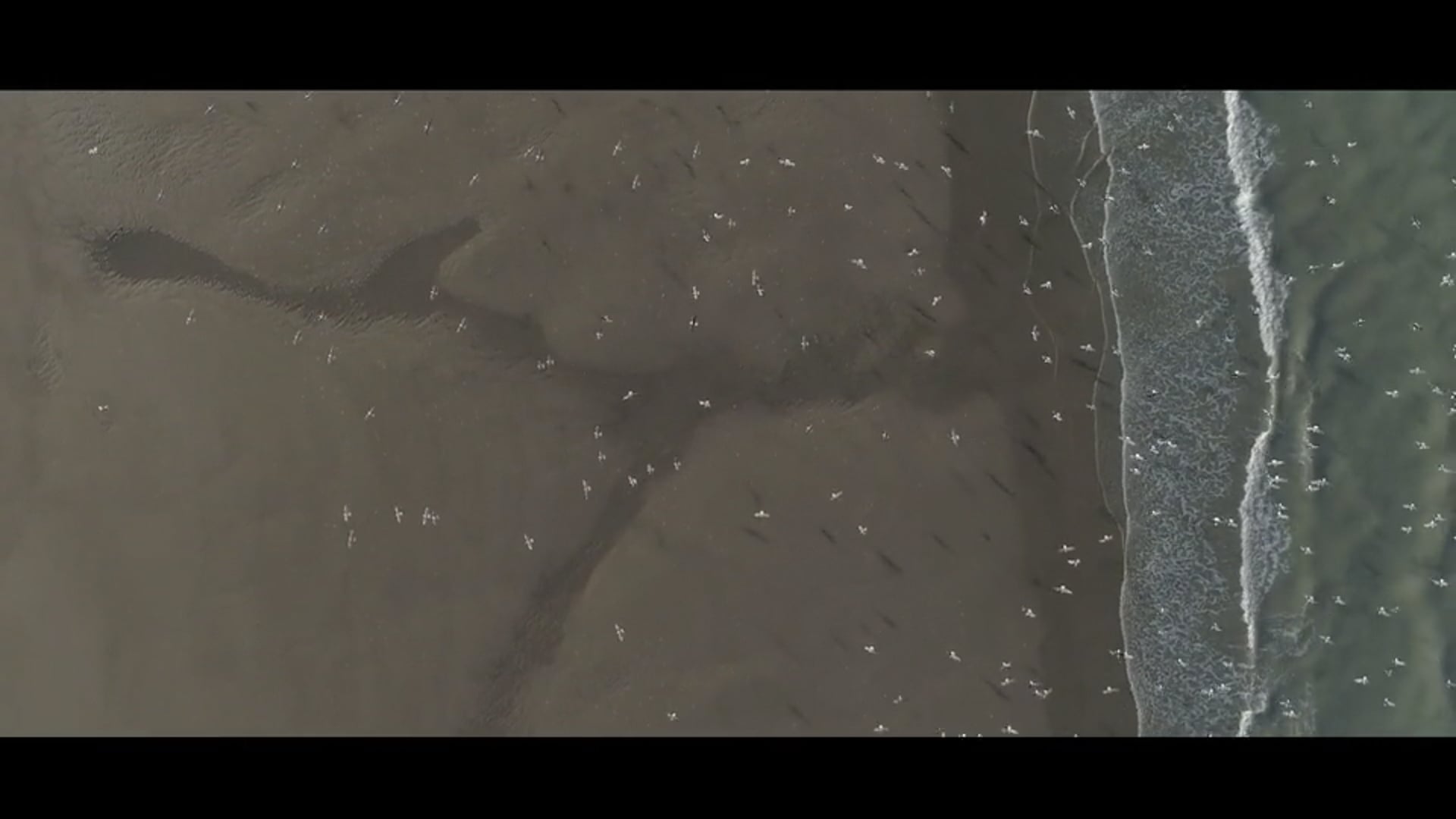 SHOWREEL--MBPROD-2025-V2