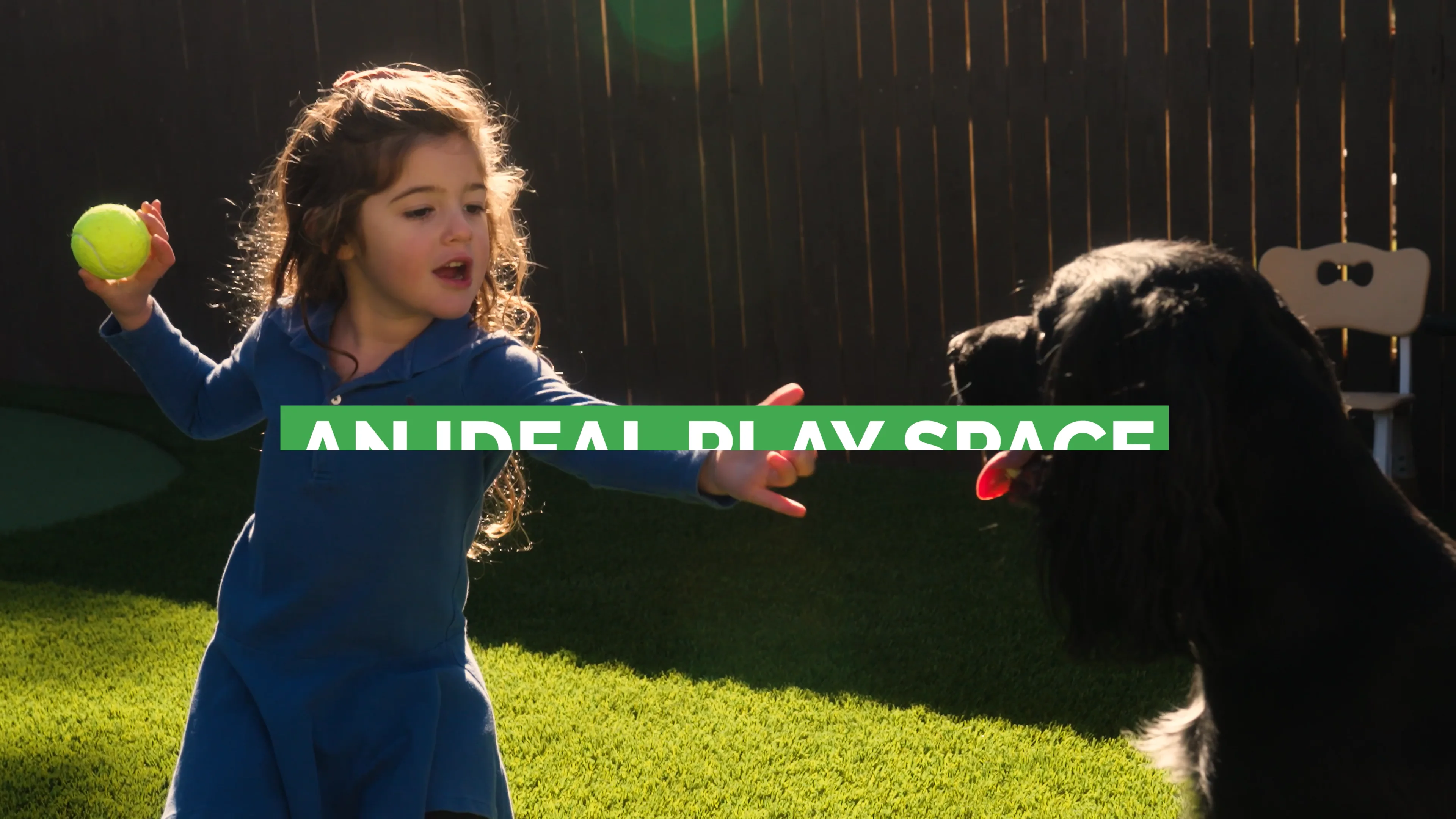 Pet-Friendly Artificial Turf - Waterloo Turf Scottsdale