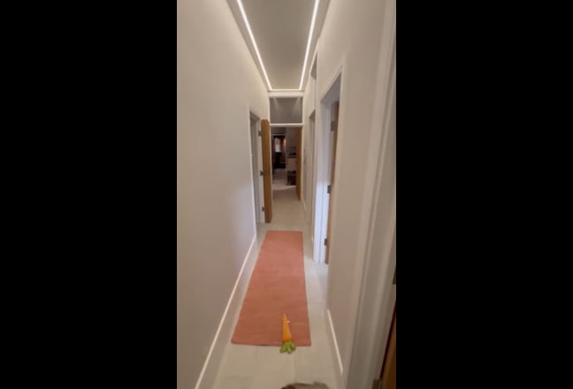 Video 1: 