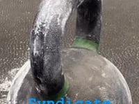 Syndicate Fitness — Globo gym in Fayetteville, NC