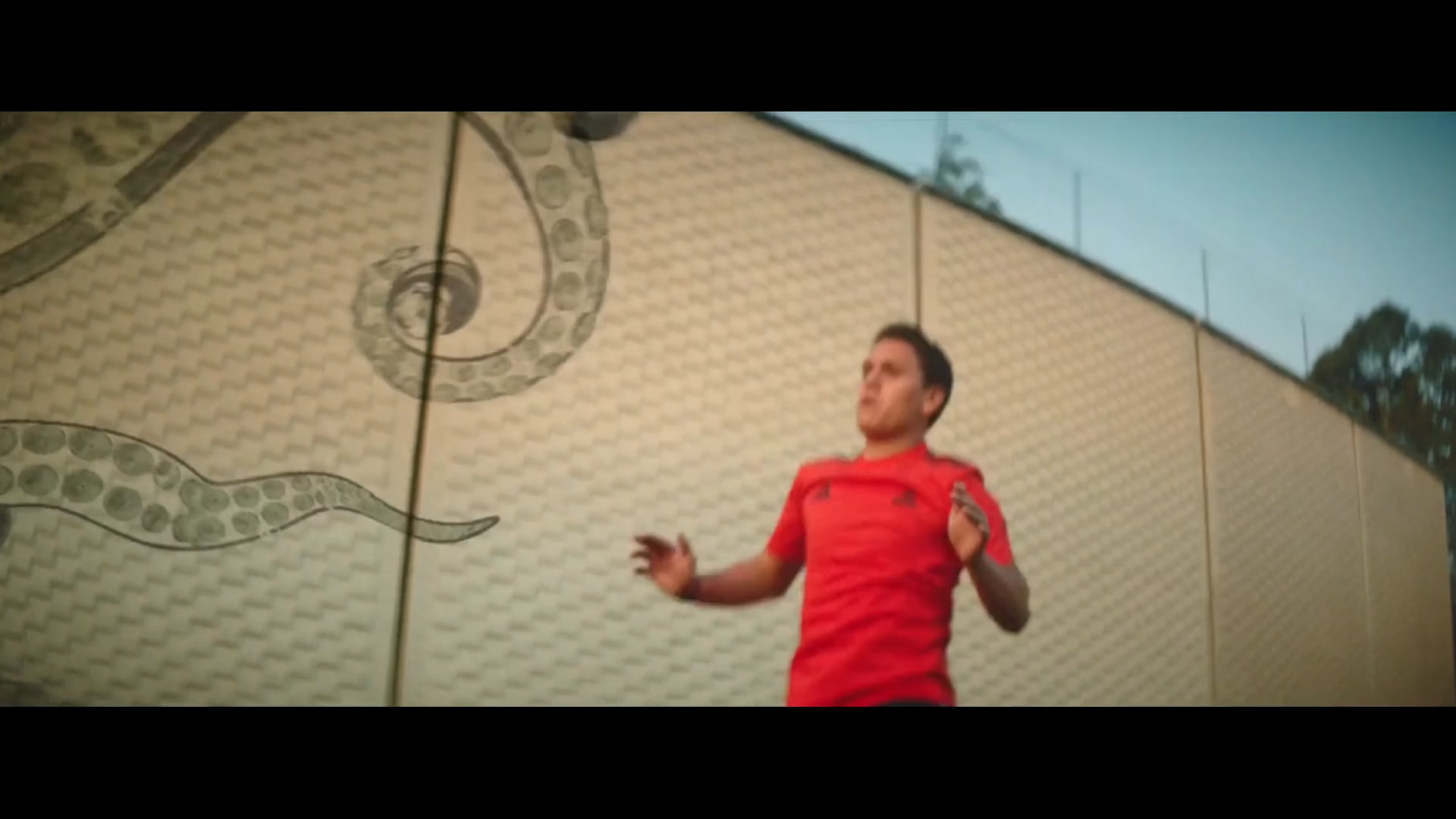 ADIDAS The Court