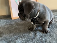 Watch me play!