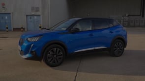 PEUGEOT 2008 2022 (71)