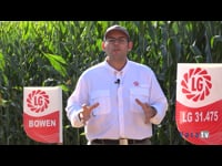 Variedades a medida, servicio personalizado y desarrollo continuo