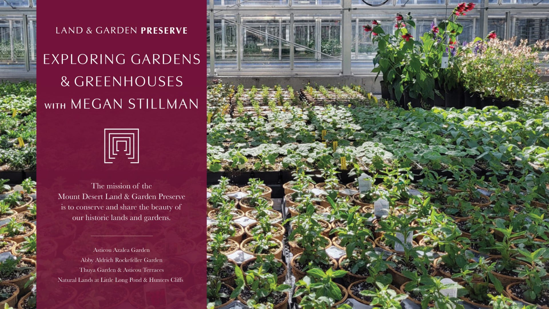 Webinar: Exploring gardens and greenhouses with Megan Stillman