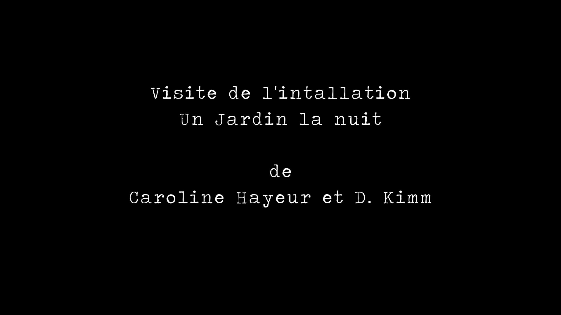 Visite de l'installation Un Jardin la nuit