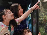 THE WITTE | Staying Alive - Animal Defenses Exhibit