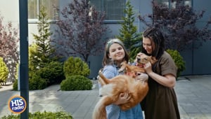 Dog People Are More Successful