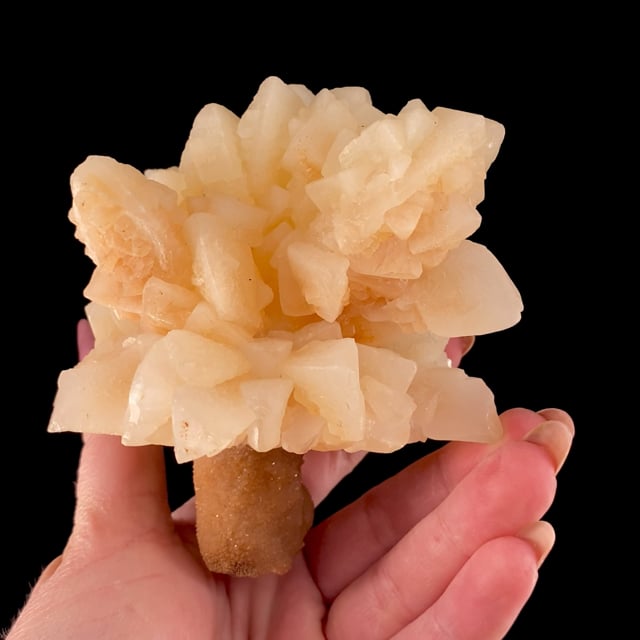 Calcite (''flower'')
