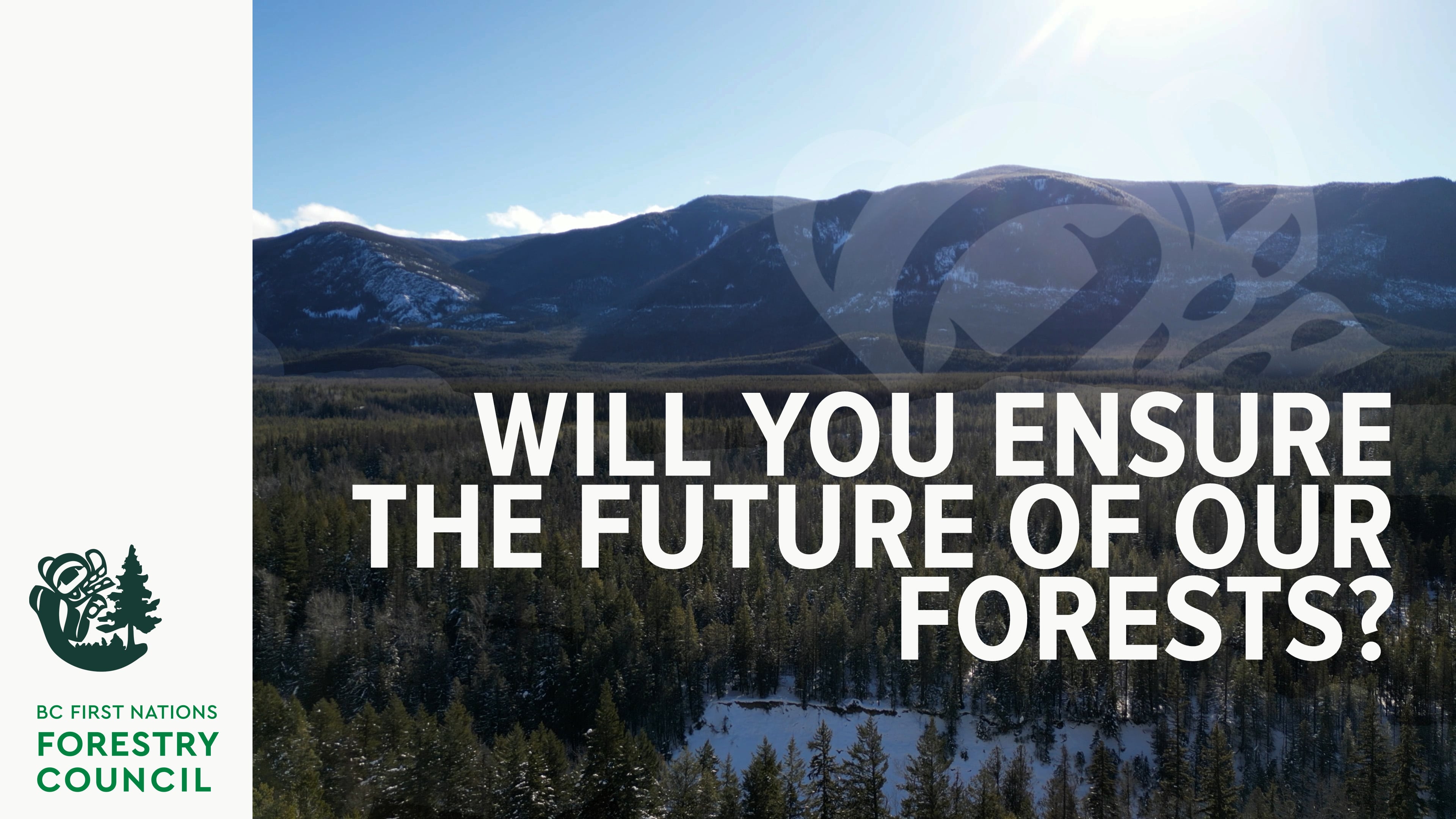 Will You Ensure The Future Of Our Forests?