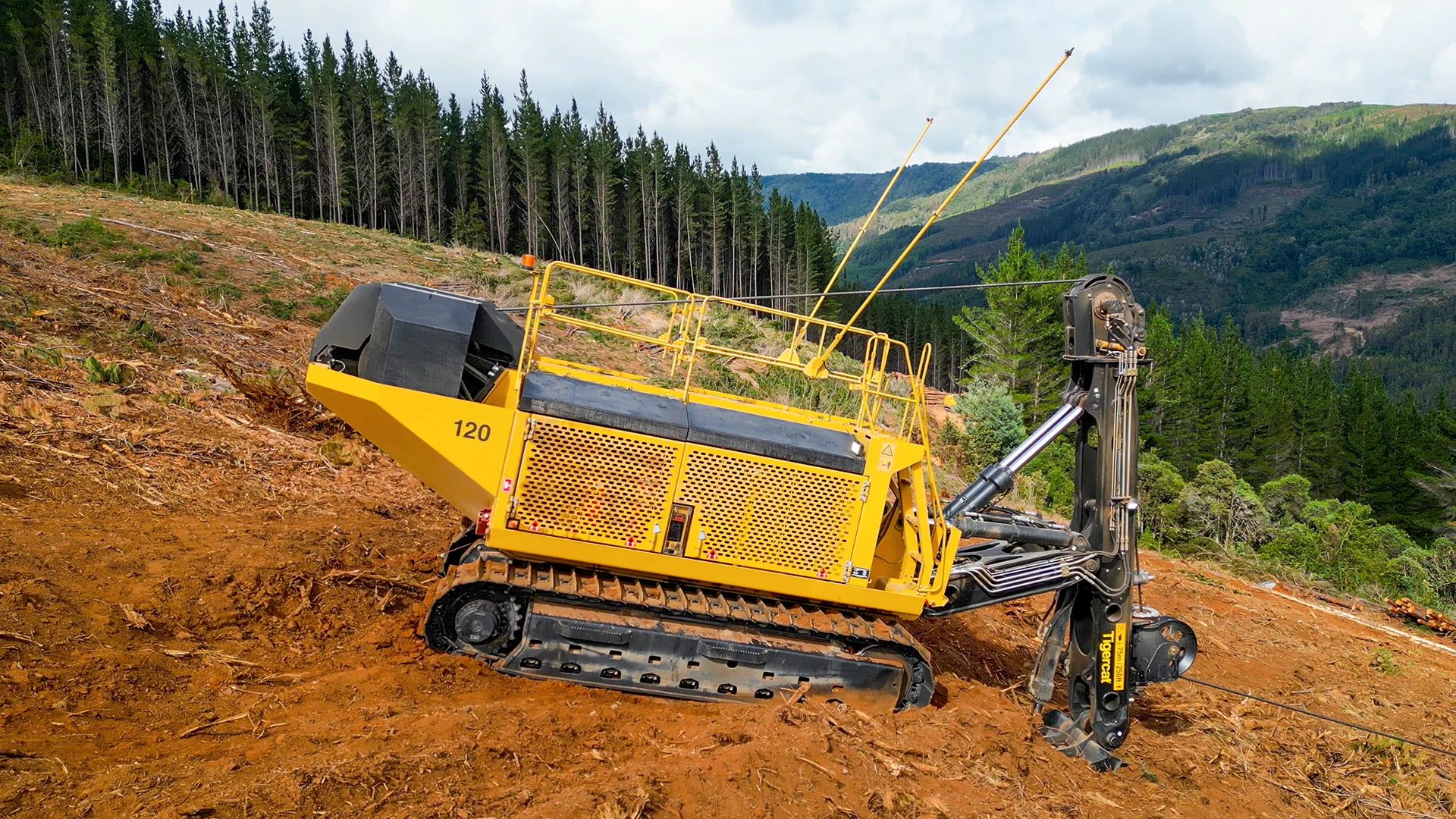 カーペンター　ディアブロ120 CARPENTER Professional Model BF-120 DIABLO – GT FIGHT CLUB