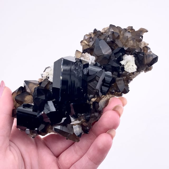 Schorl with Quartz var: Smoky and Opal var: Opal-AN (''Hyalite'') (near ''floater'' specimen)