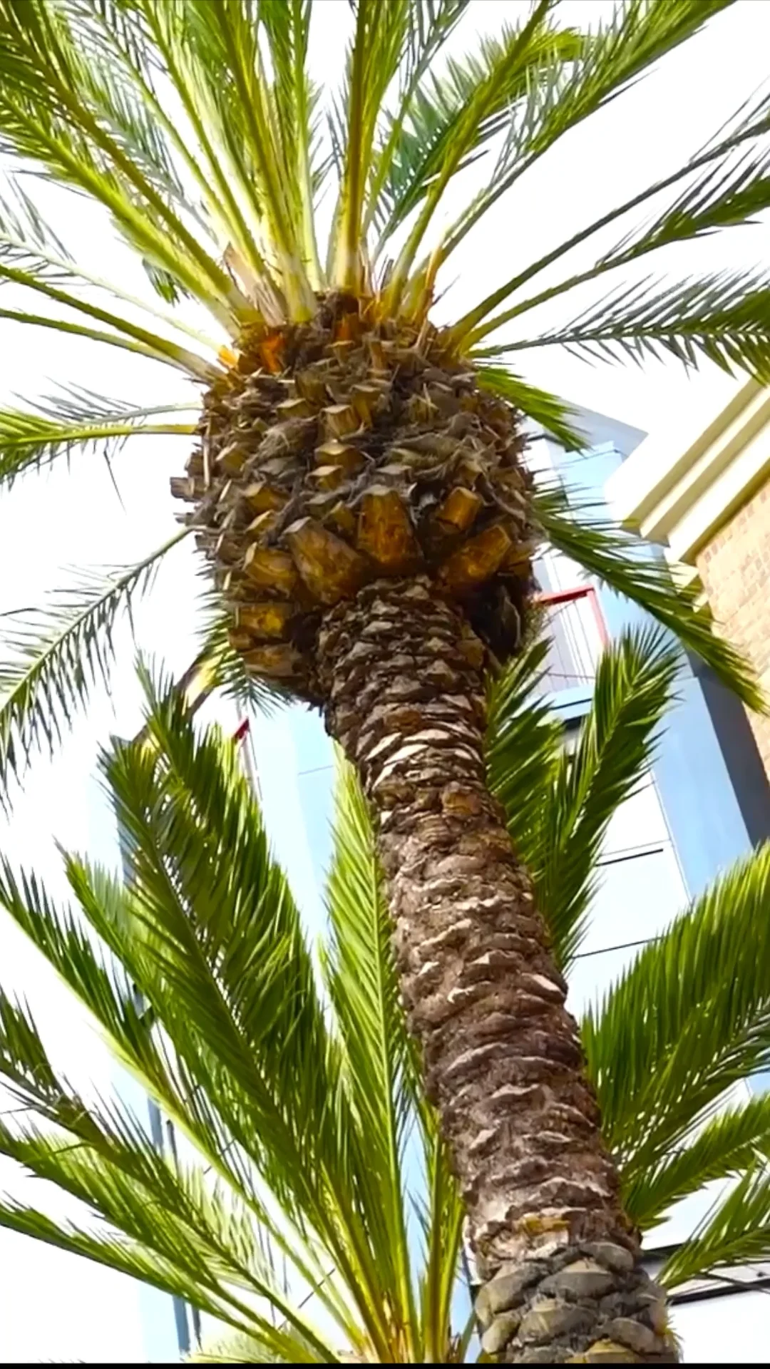 Aschehoug_Litteratur_høst_2013 - WordPress.com, image size:1080x1920