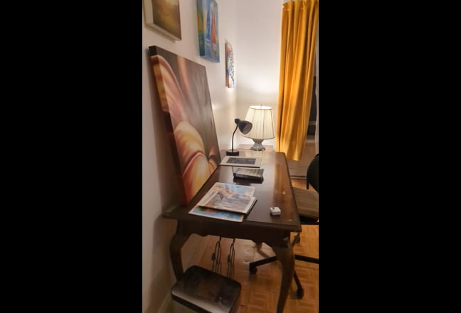Furnished Large Room available Main Photo