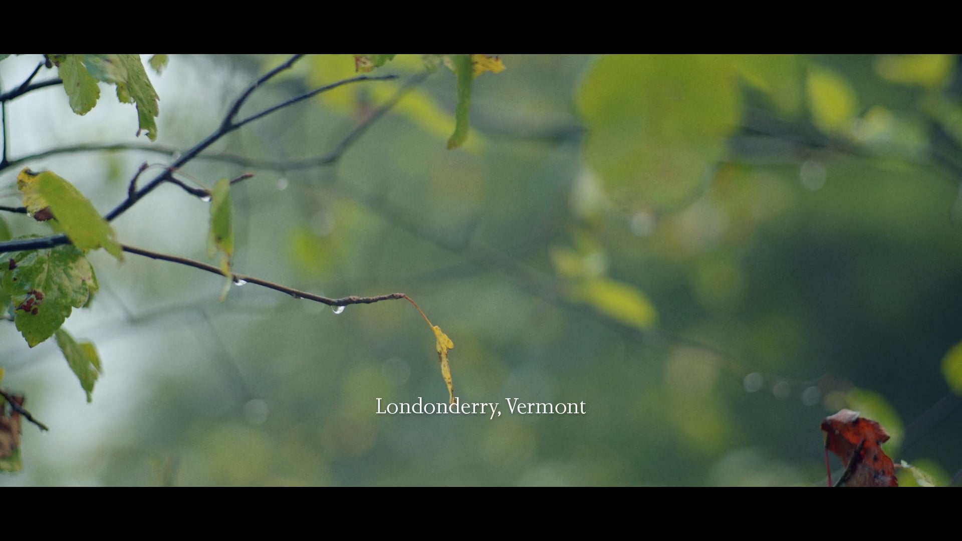 FEMA "Vermont"