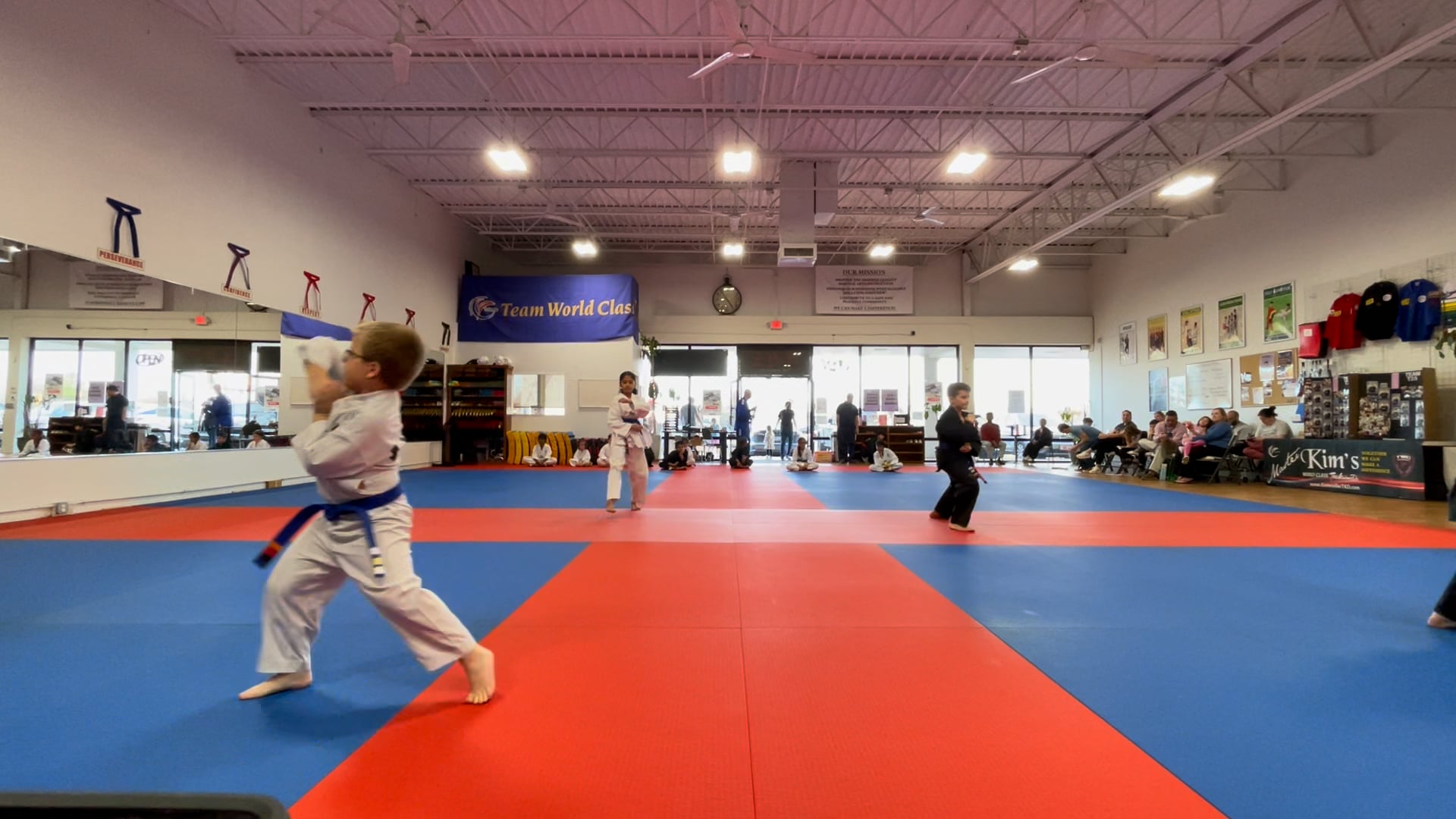 Regular Belt Testing_Blue Belt_February_27_2025