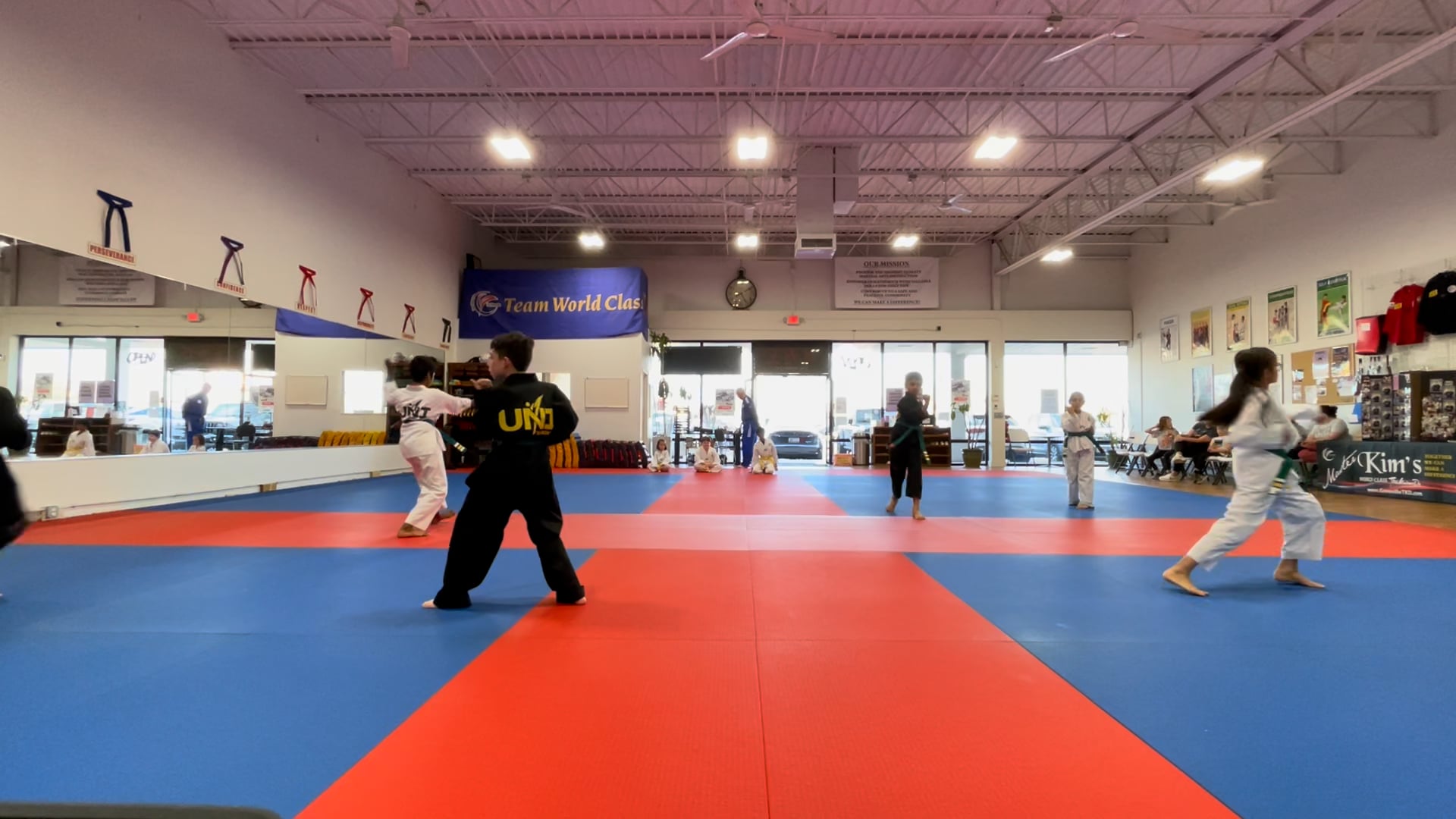 Regular Belt Testing_Green Belt & Blue Stripe_February_27_2025