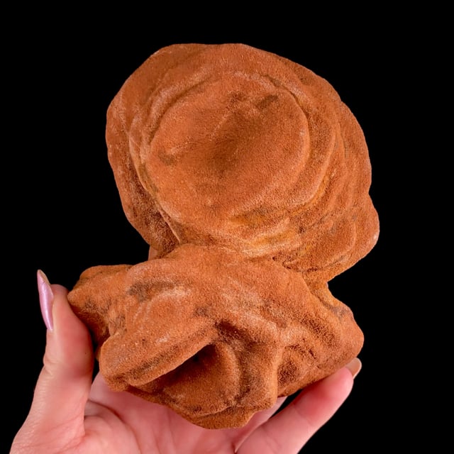 Baryte var: Baryte Rose (good-sized specimen)