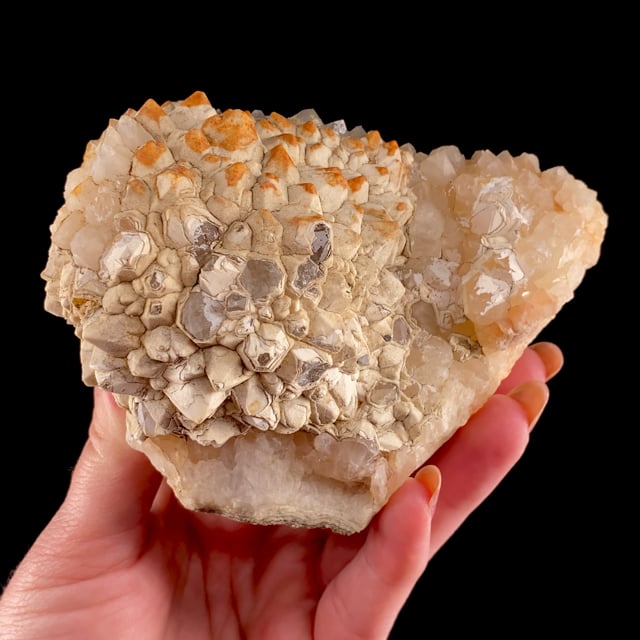 Quartz (rare locality specimen) (self-collected)