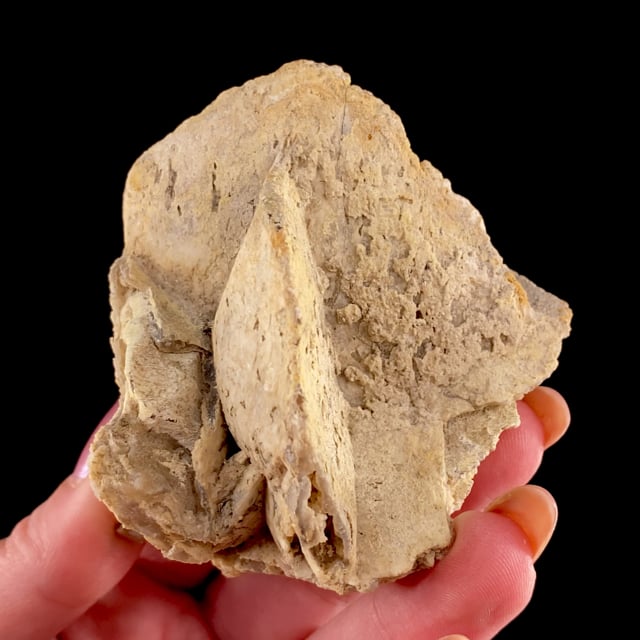 Quartz var: Chalcedony pseudomorph after Gypsum