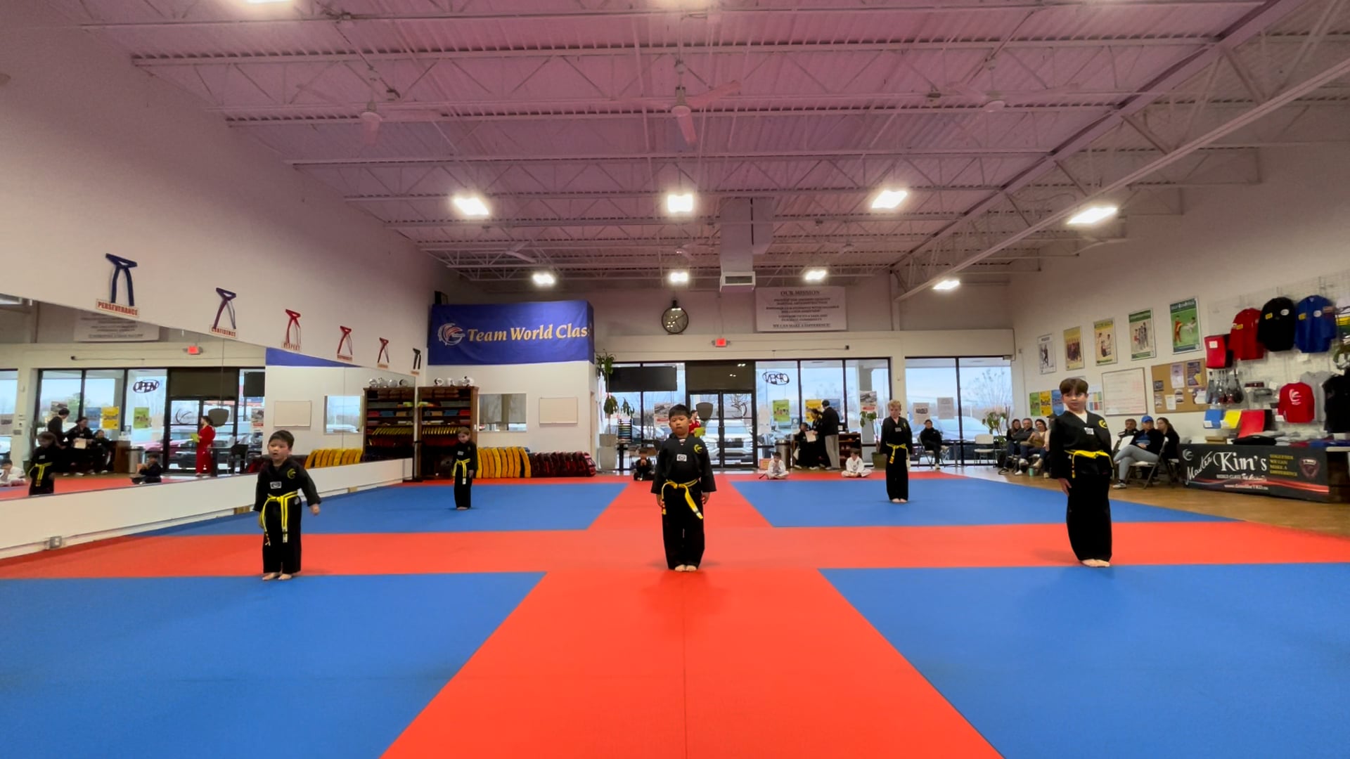 Regular Belt Testing_Yellow Belt_January_30_2025