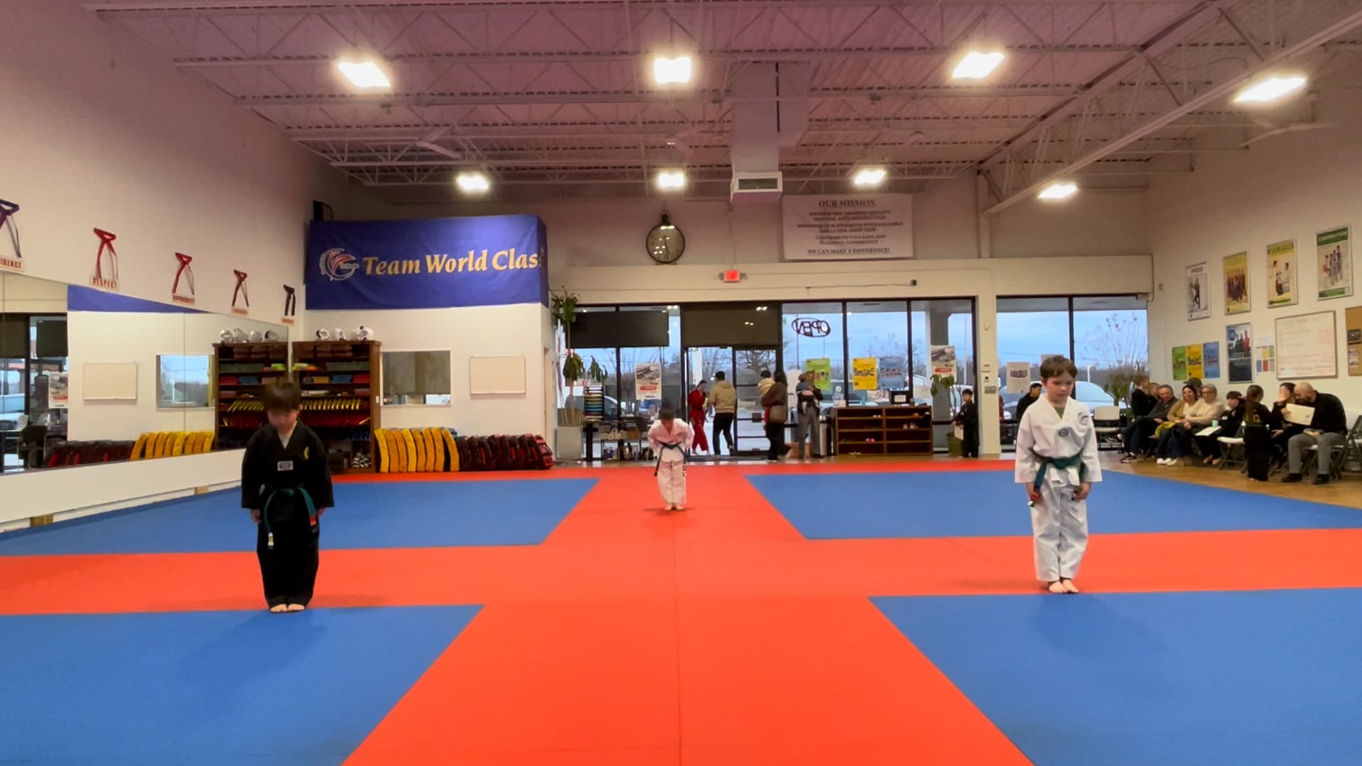 Regular Belt Testing_Blue Stripe_January_30_2025