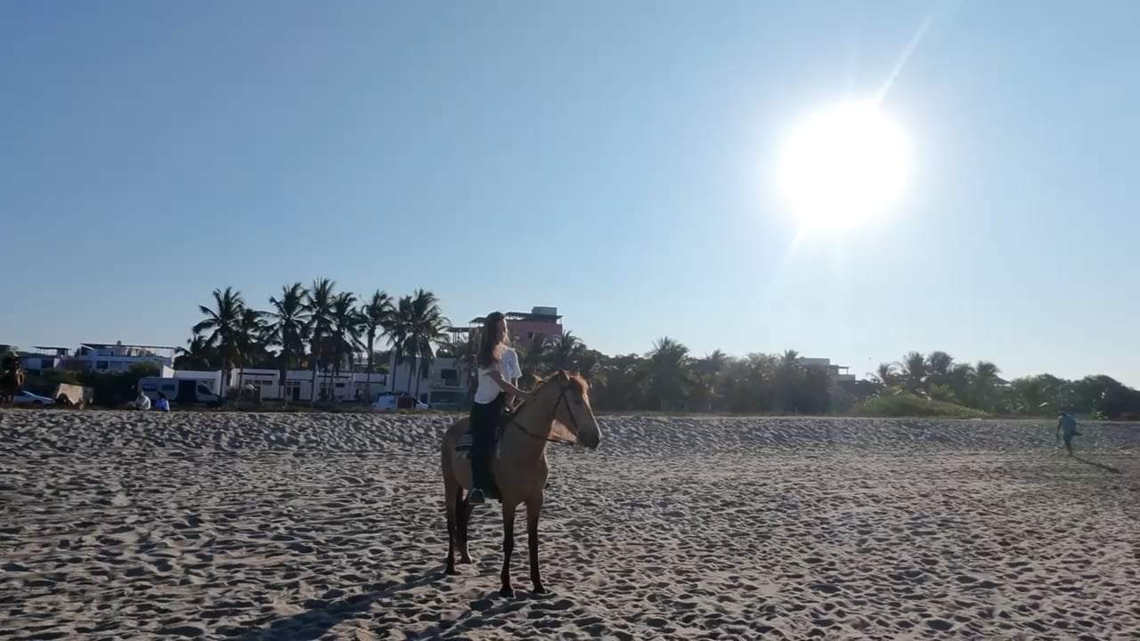https://i.vimeocdn.com/video/1991300895-197d75ff6a31afee0c2ba9e6db328f2c714f7d5566d5548c523afbb16443309f-d