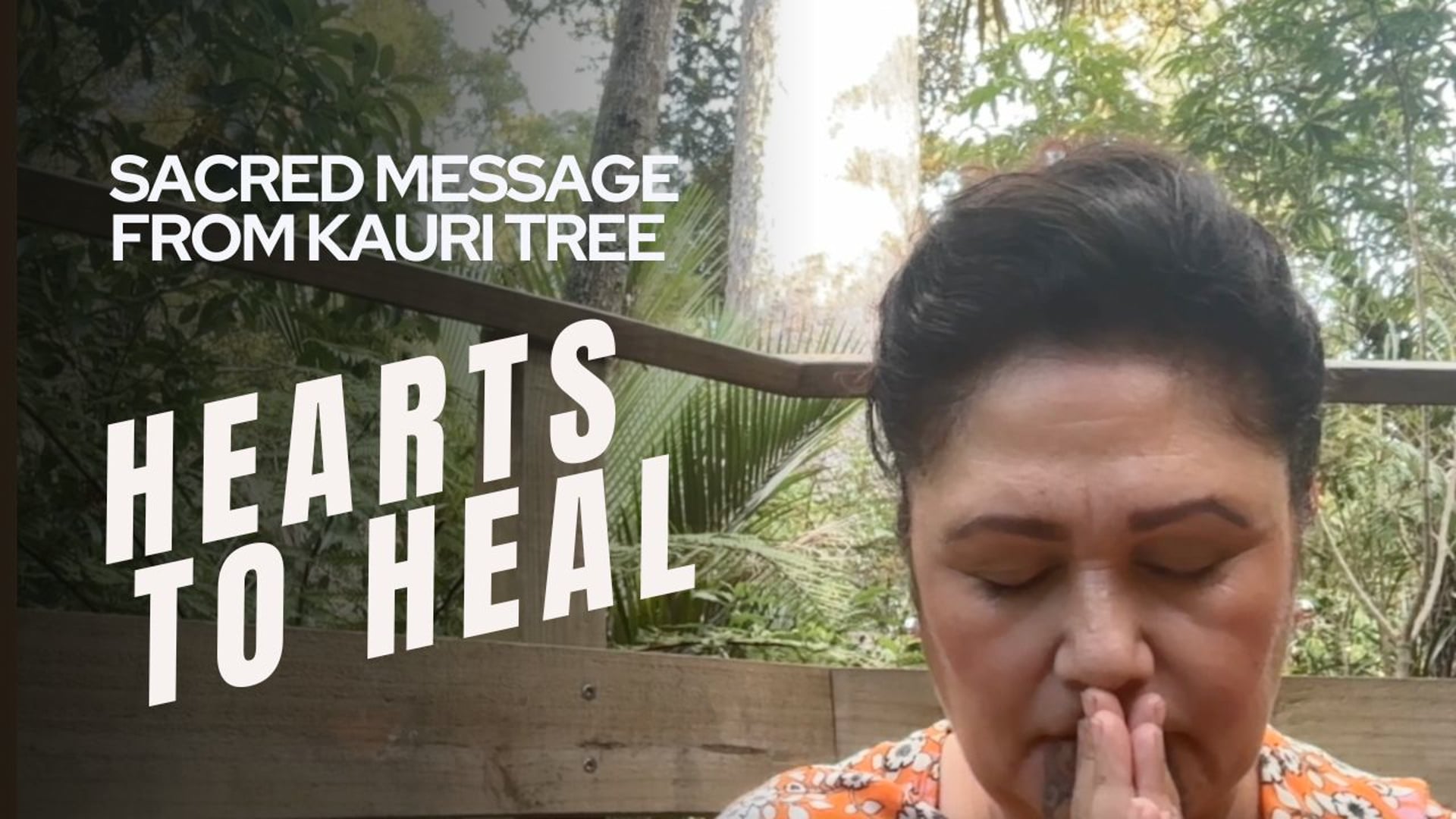 Kauri - Hearts to Heal Meditation