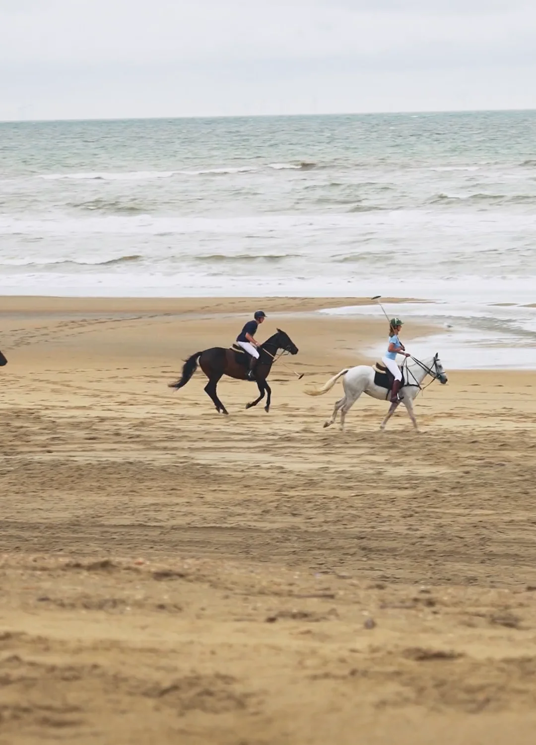 HV Polo – Elegant & Stylish Equestrian Fashion | Shop Now!